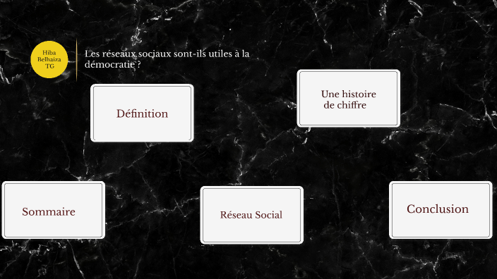 Les réseaux sociaux sont-ils utile à la démocratie ? by Sabrina Ajej on