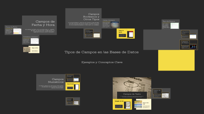 Tipos de Campos en las Bases de Datos by clarisa beltran on Prezi