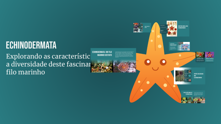 Echinodermata by Brenda Gabrielly on Prezi