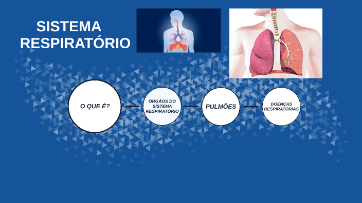 SISTEMA RESPIRATÓRIO by Victor Tigre on Prezi