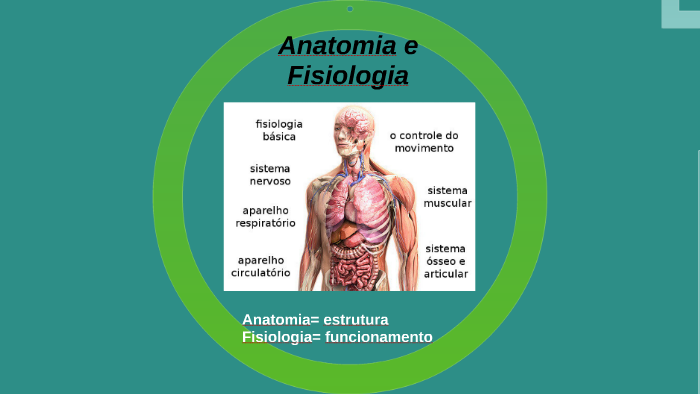 Anatomia e Fisiologia by Alessandra costa on Prezi