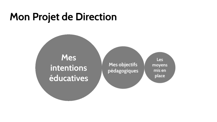 Mon projet de direction by Damien Dupuy on Prezi