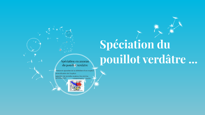 Spéciation du pouillot verdâtre by Coco Rousse on Prezi