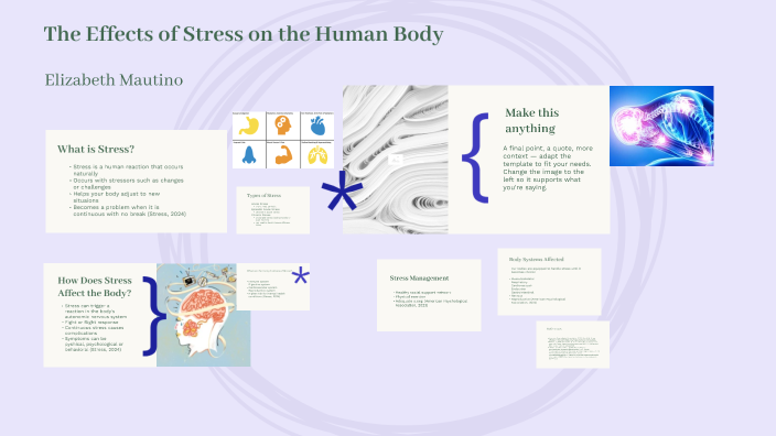 The Effects of Stress on the Human Body by Elizabeth Mautino on Prezi
