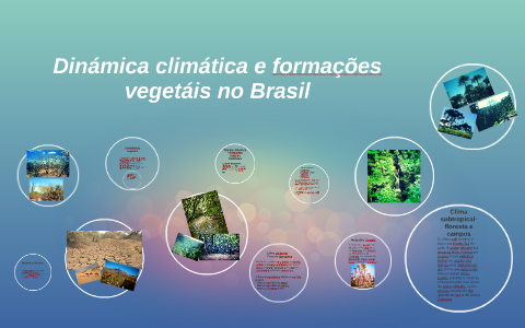Dinâmica climática e vegetação no Brasil