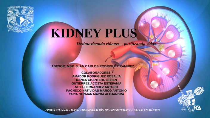 KIDNEY PLUS by ESTEFANIA GUTIERREZ on Prezi