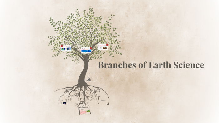 branches-of-earth-science-by-annika-westra