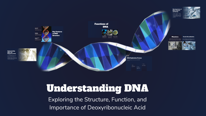 Understanding DNA by pp t on Prezi