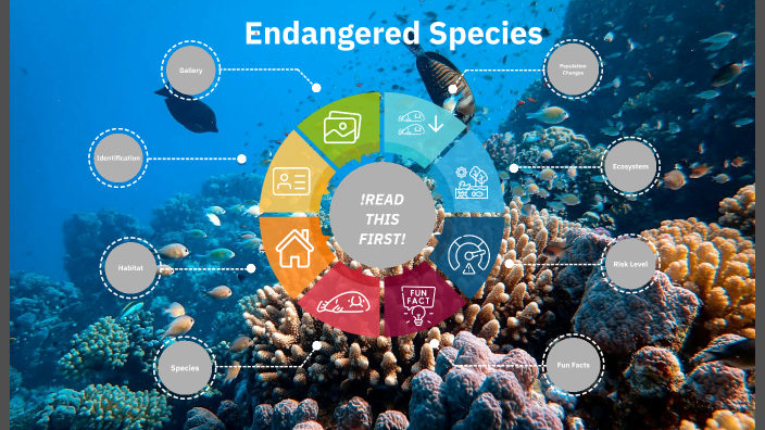 Endangered Species by Jordan A on Prezi