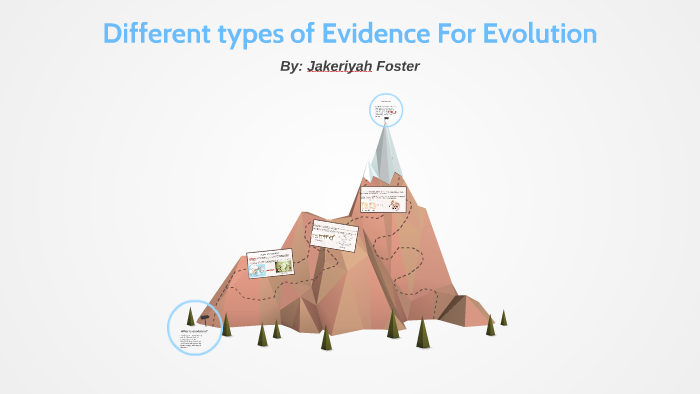 different-types-of-evidence-for-evolution-by-jakeriyah-foster