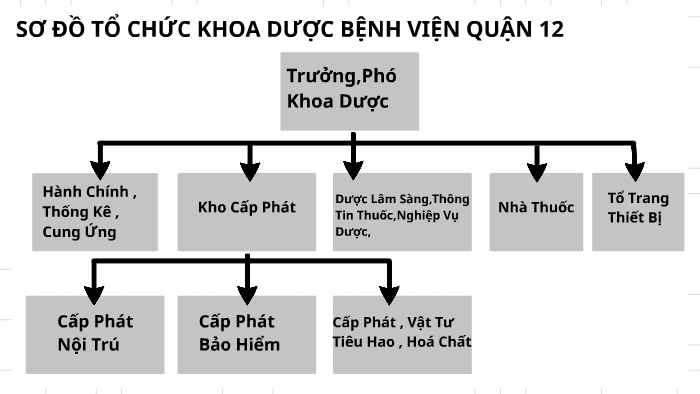 SƠ ĐỒ TỔ CHỨC KHOA DƯỢC BỆNH VIỆN QUẬN 12 by Tân Lê Nguyễn Minh on Prezi