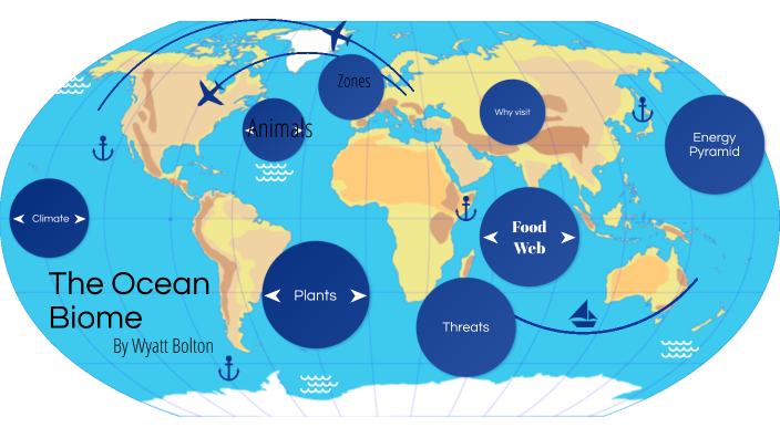 Ocean by WYATT BOLTON on Prezi