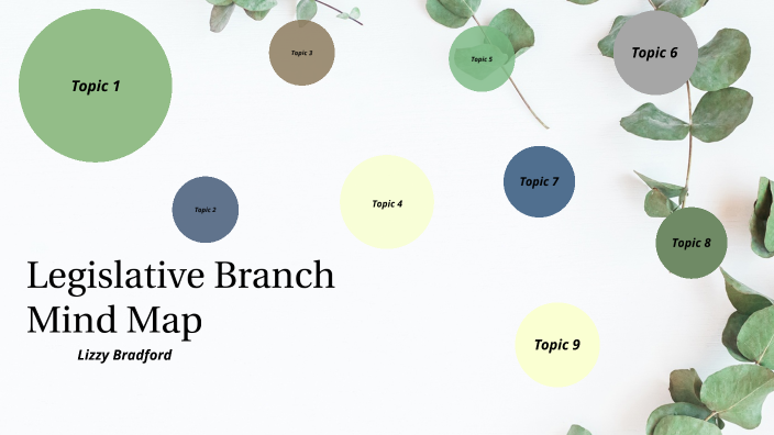 Mind Map Legislative Branch by Elizabeth Bradford