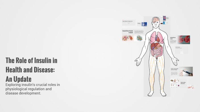 The Role of Insulin in Health and Disease: An Update by ALYSSA MARIE ...
