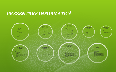 ALGORITMUL DE INTERSCHIMBARE by Andrieș Alexandru on Prezi