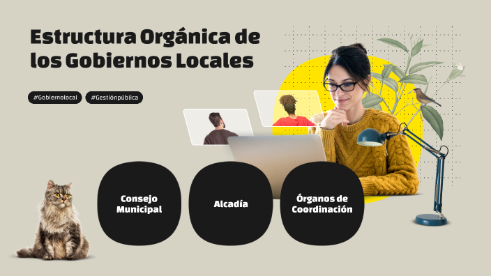 Estructura Orgánica de los Gobiernos Locales by Hugo Gabriel on Prezi