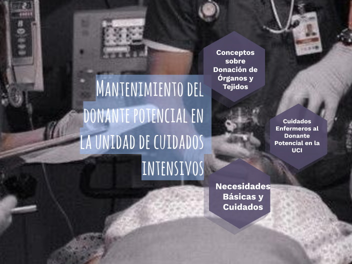 Mantenimiento del donante potencial en la unidad de cuidados intensivos ...