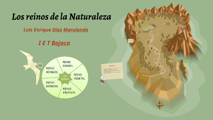 Los reinos de la Naturaleza by luis enrique diaz marulanda on Prezi