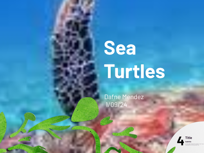 Sea Turtles by Dafne Mendez on Prezi