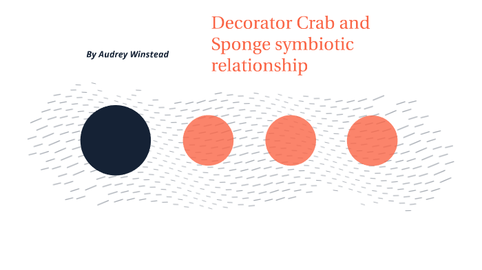 Symbiosis: Decorator Crab and Sponge by Audrey Winstead on Prezi