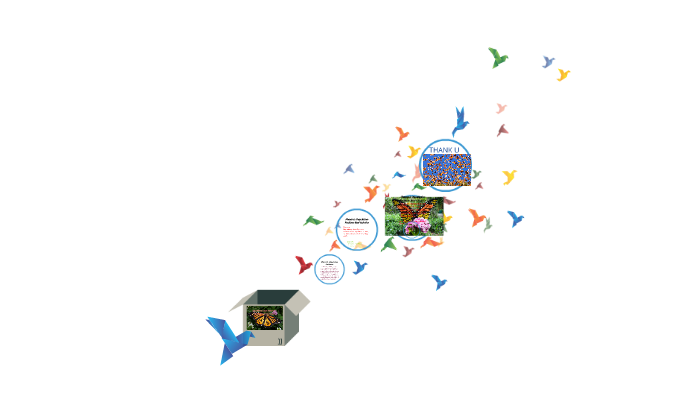 Butterfly Problem MONARCH BUTTERFLY PROBLEM/SOLUTION by Josie Beaver on Prezi