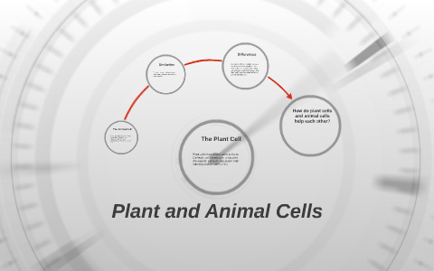 Plant and Animal Cells by tyler smith on Prezi