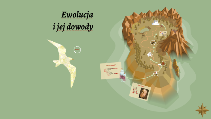 Ewolucja I Jej Dowody By Anna Suska On Prezi