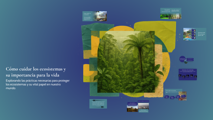 Cómo cuidar los ecosistemas y su importancia para la vida by angie ...