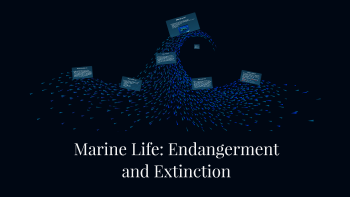 Marine Life: Endangerment by Rachel Ernisse on Prezi