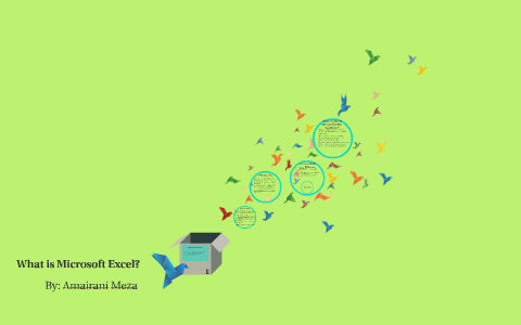 What is Microsoft Excel? by Amairani Meza on Prezi