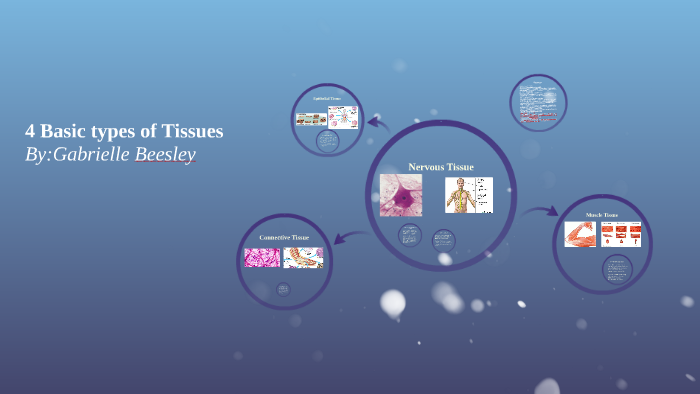 4 Basic Types of Tissues by Gabrielle Beesley on Prezi