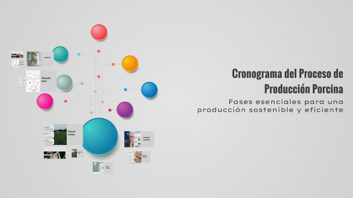 Cronograma del Proceso de Producción Porcina by Laura Sofia Leal ...