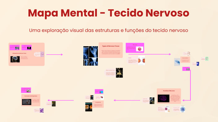 Mapa Mental - Tecido Nervoso by Beatriz Azobrab on Prezi