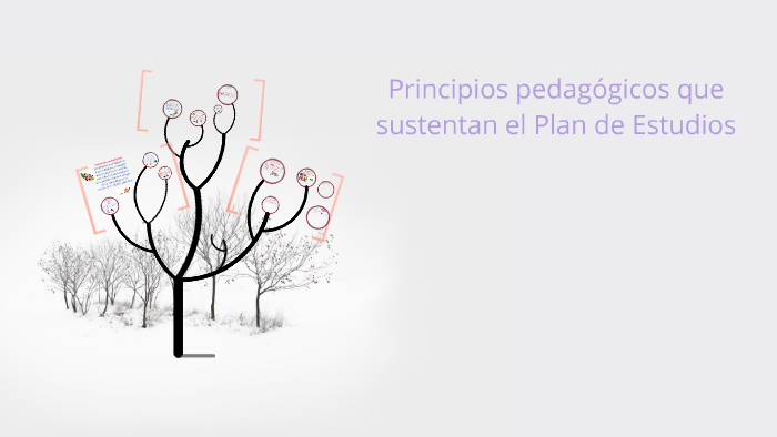 12 Principios pedagógicos que sustentan el Plan de Estudios by Elia ...
