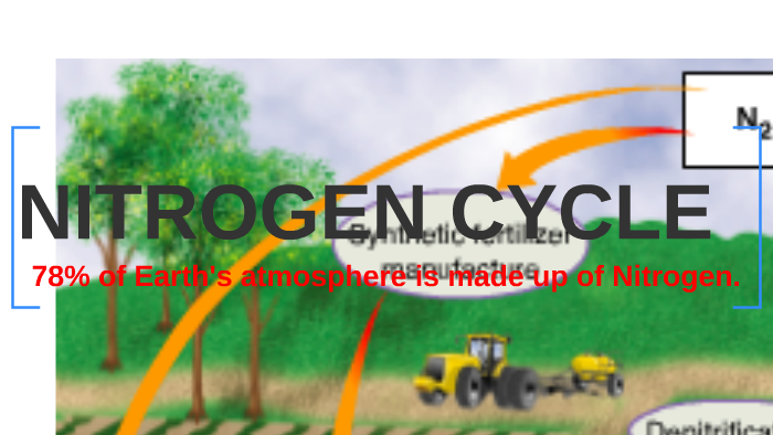 NITROGEN CYCLE by Diana Sandoval on Prezi