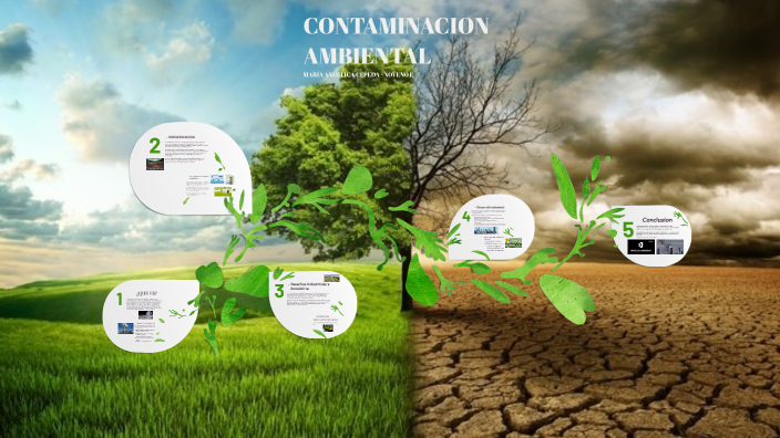 CONTAMINACION AMBIENTAL by MARIA ANGELICA CEPEDA GONZALEZ on Prezi