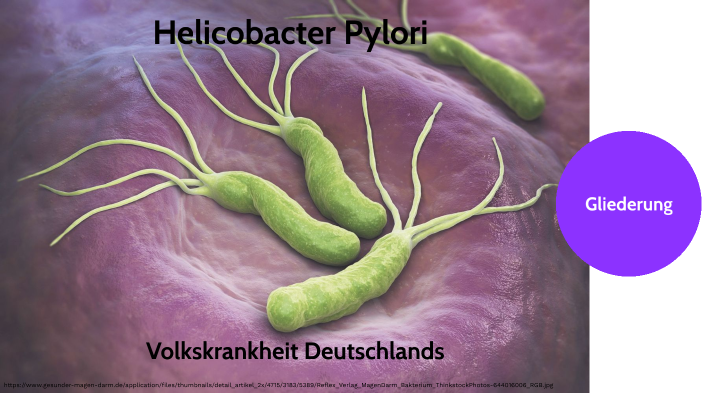 Wie Kann Man Helicobacter Feststellen prezi.com