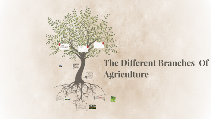 the-different-branches-of-agriculture-by-dariel-estudillo