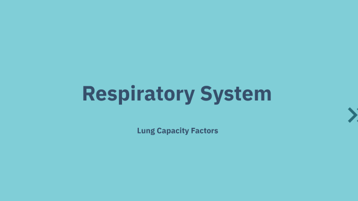 Respiratory System by Taryn Derbyshire on Prezi