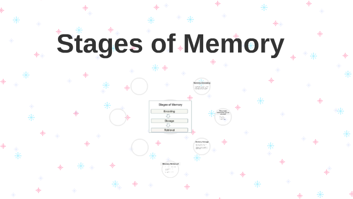 Stages Of Memory - Encoding Storage And Retrieval By Fangfei Lu On Prezi