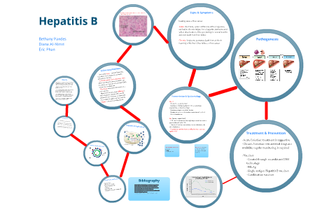 Hepatitis B by Eric Phan on Prezi