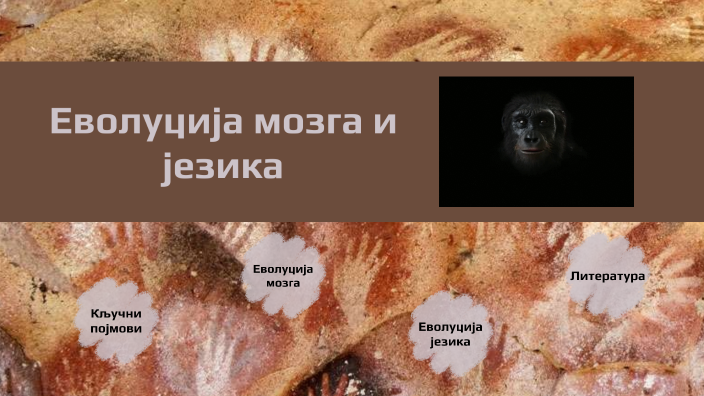 Еволуција мозга и језика by Jelica Mirosavić on Prezi