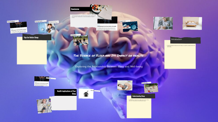 The Importance of Quality Sleep by Cindy Lozano on Prezi