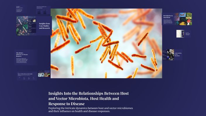Insights Into the Relationships Between Host and Vector Microbiota ...