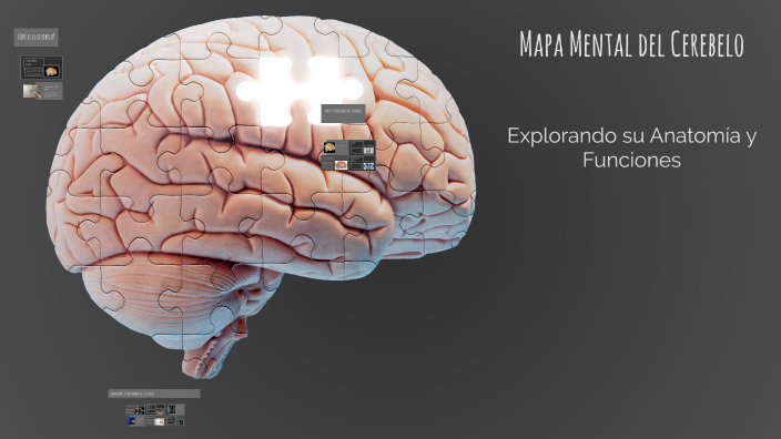Mapa Mental del Cerebelo by Keila Turcios on Prezi