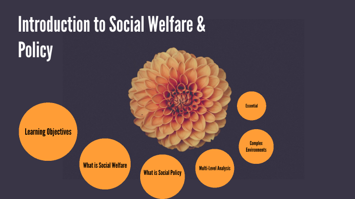 introduction-to-social-welfare-policy-by-lisa-schenk-on-prezi-next