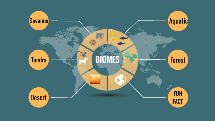 Ingles biomas by Monse Mendoza on Prezi