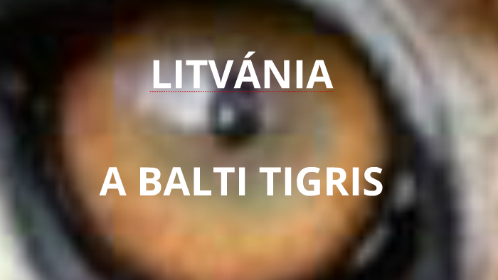 befektetési lehetőségek litvániában)