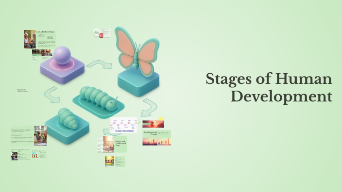Stages of Human Development by Sabrina Caprenter on Prezi