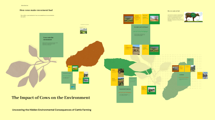 The Impact Of Cows On The Environment By Luke Spangler On Prezi